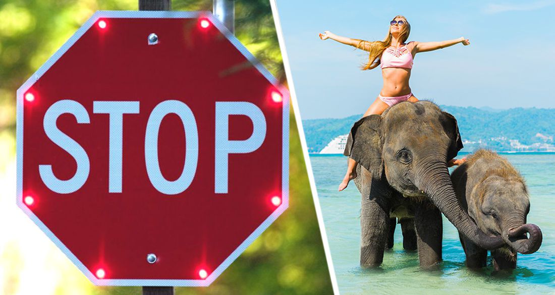 Шри-Ланка срочно меняет правила въезда туристов и готовится к закрытию