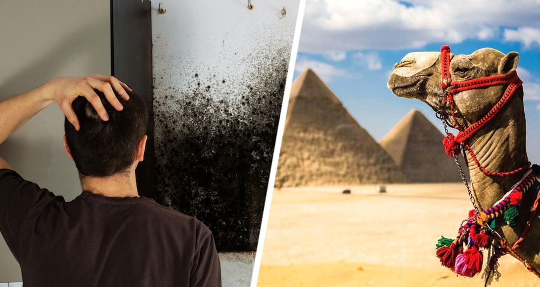 Эпидемия черных грибов вторгается в Египет: туризм полностью защищен, усиливая на курортах  меры безопасности