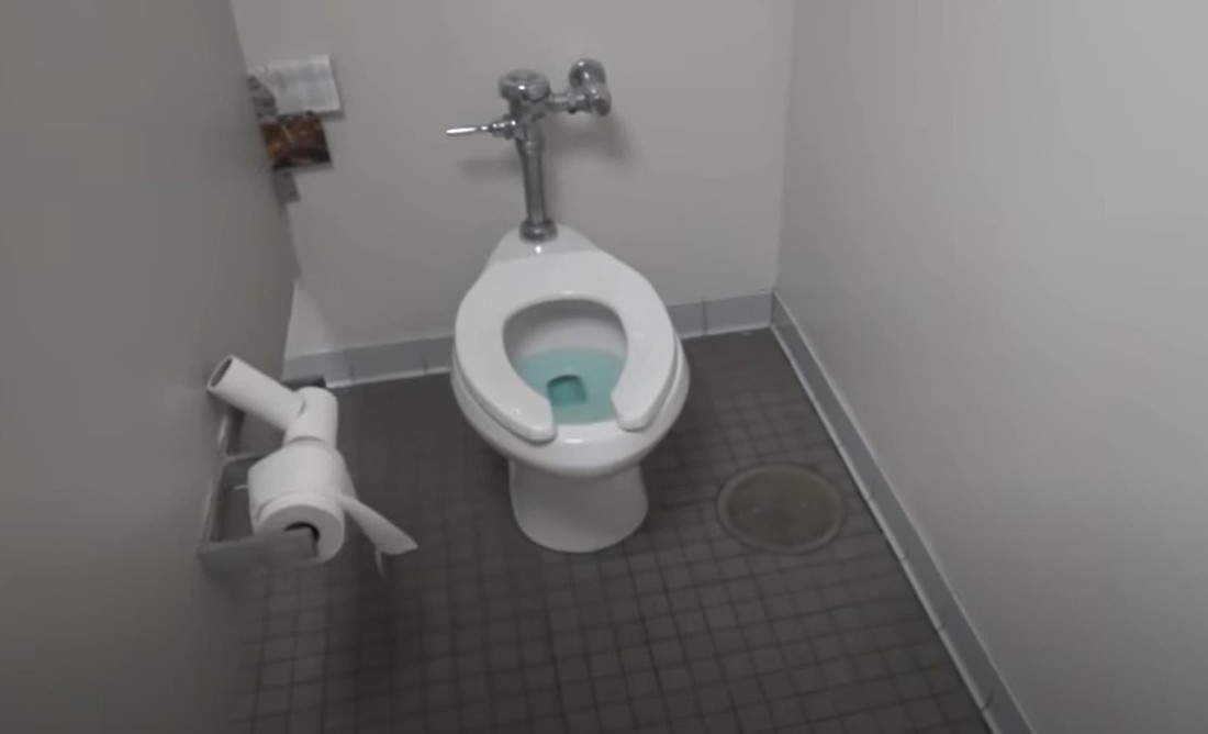 Российский турист раскрыл давно мучавший вопрос: почему в туалетах Америки у унитазов нет ершиков