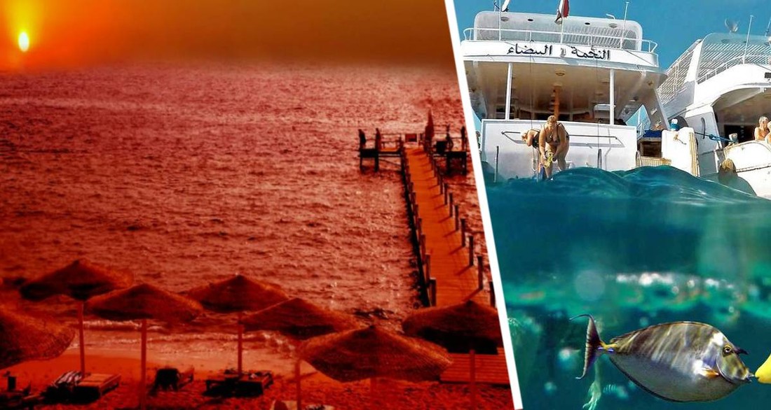 В Египте покраснела вода на пляжах Хургады: туристы пребывают в шоке
