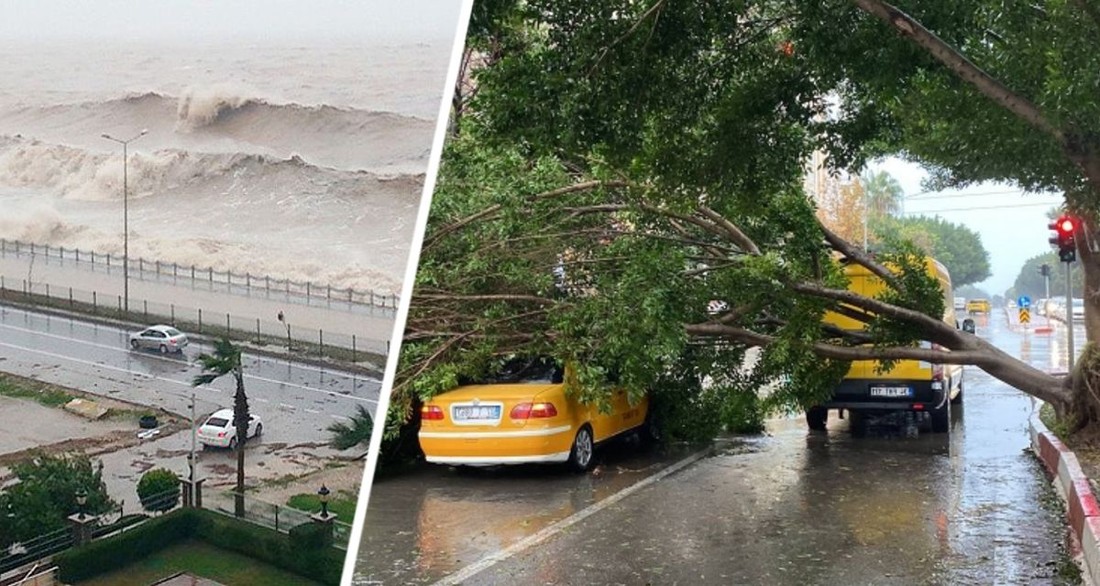 В Анталии жизнь остановилась: на курорт обрушился ураган, поваливший дерево на туристов