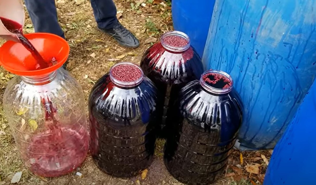 535 рублей за 5-литовую канистру вина: российский турист в Грузии узнал, что пьют местные, и был удивлен