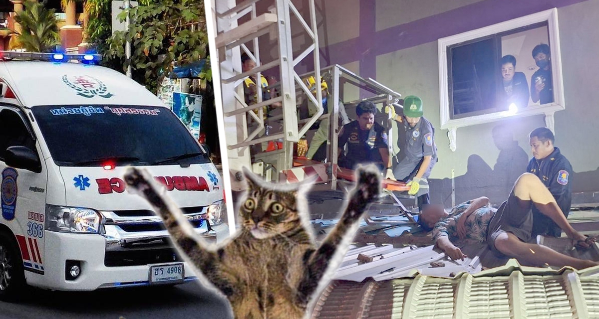 Пьяный российский турист выпал из окна высотки в Таиланде, тайцы приняли его за кота