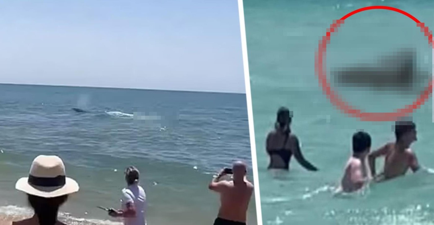 Гигантский хищник откусил туристу ногу во время купания в море: все гадают – акула или крокодил