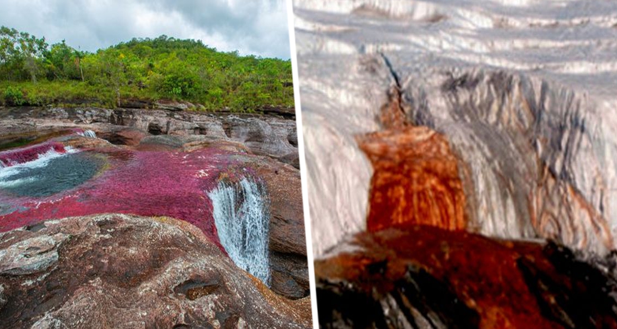 Ученые разгадали тайну кровоточащих водопадов