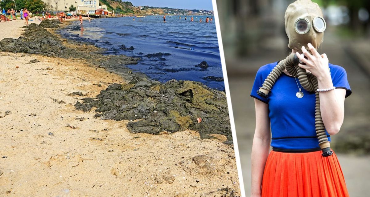 Выглядит страшно и воняет: туристы боятся заходить в море в Краби