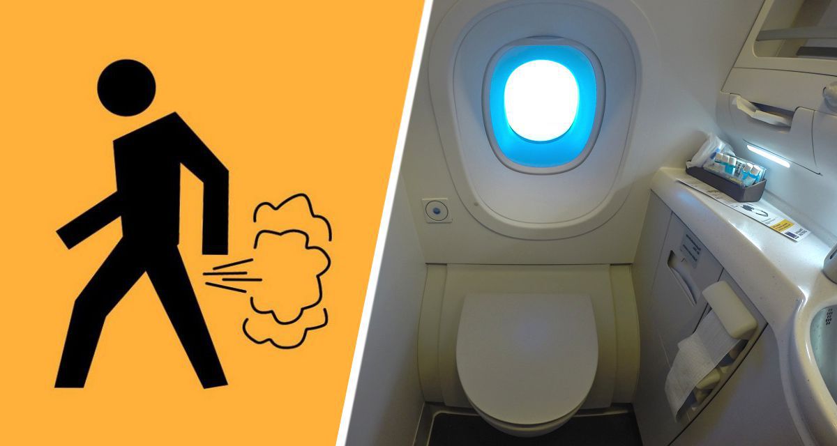 Экономам тут не место: мнения о пользовании туалетом бизнес-класса в самолете разделились