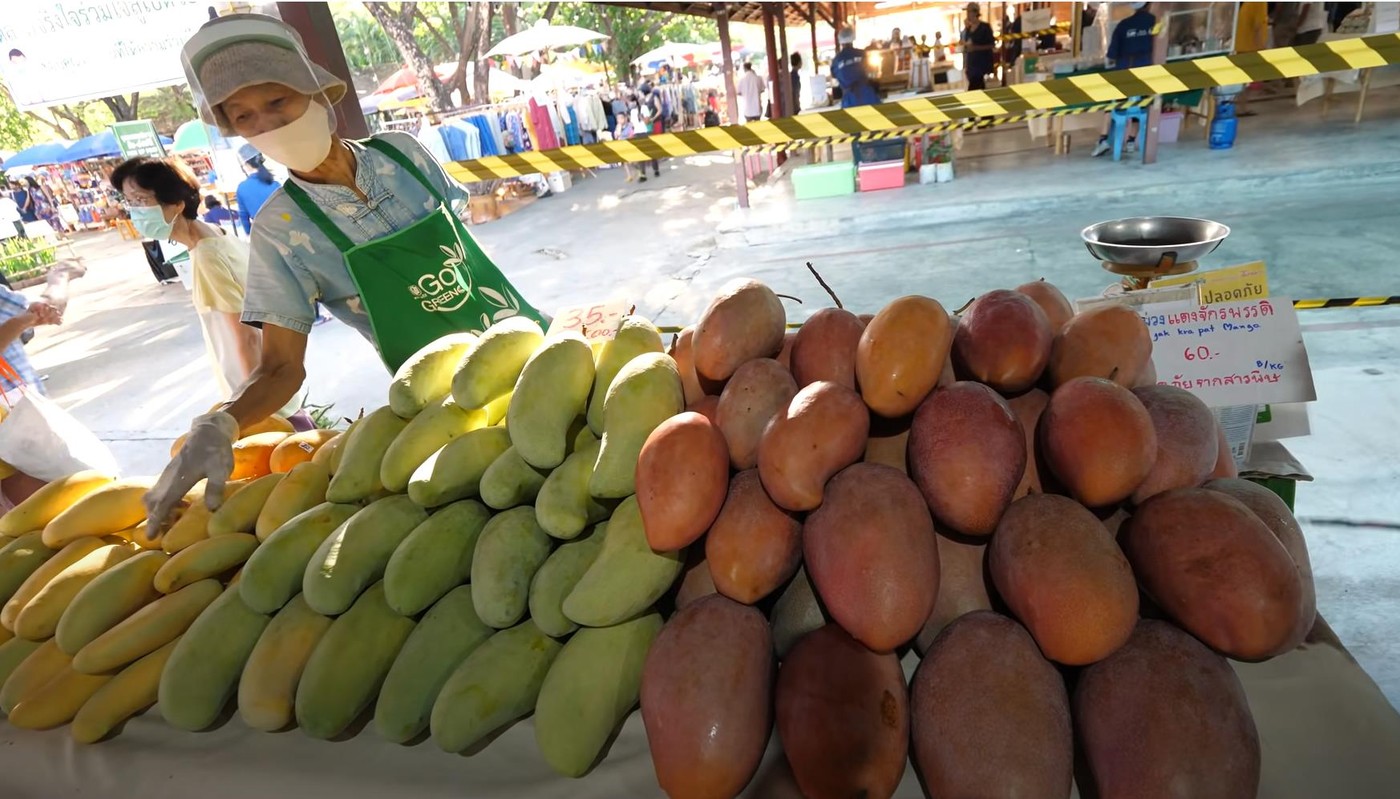 В Таиланде начался сезон манго: туристам сообщили о лучших сортах и где их купить