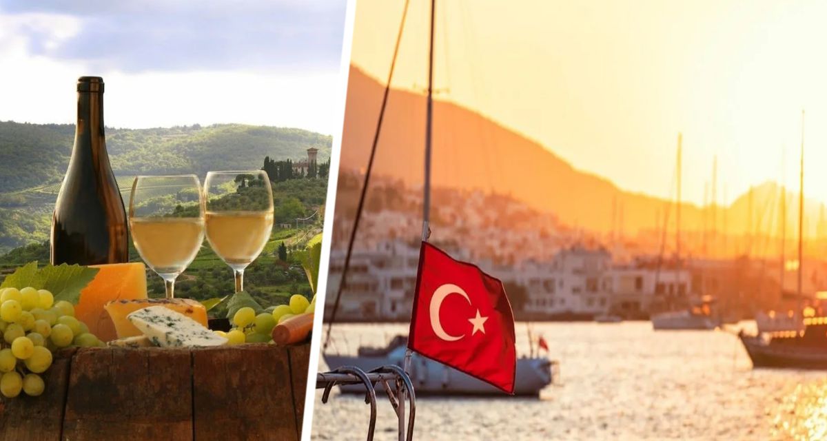 Российский турист в Турции решил насладиться местным вином и вылил всю бутылку в унитаз со словами: «Бормотуха»