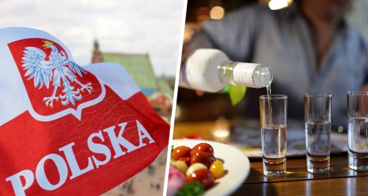 Россиянин сел пить с поляками водку и был крайне удивлен их закусками