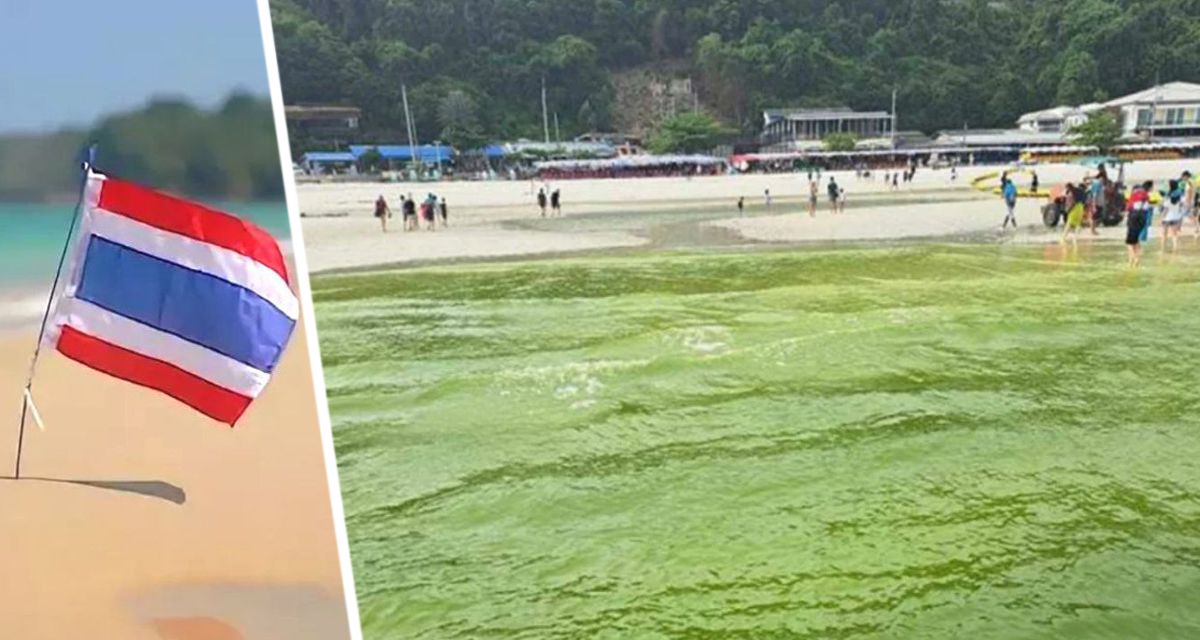 В Таиланде бирюзовая вода на пляжах превратилась в зелёную муть, поставив туризм под угрозу: под подозрение попали фекалии