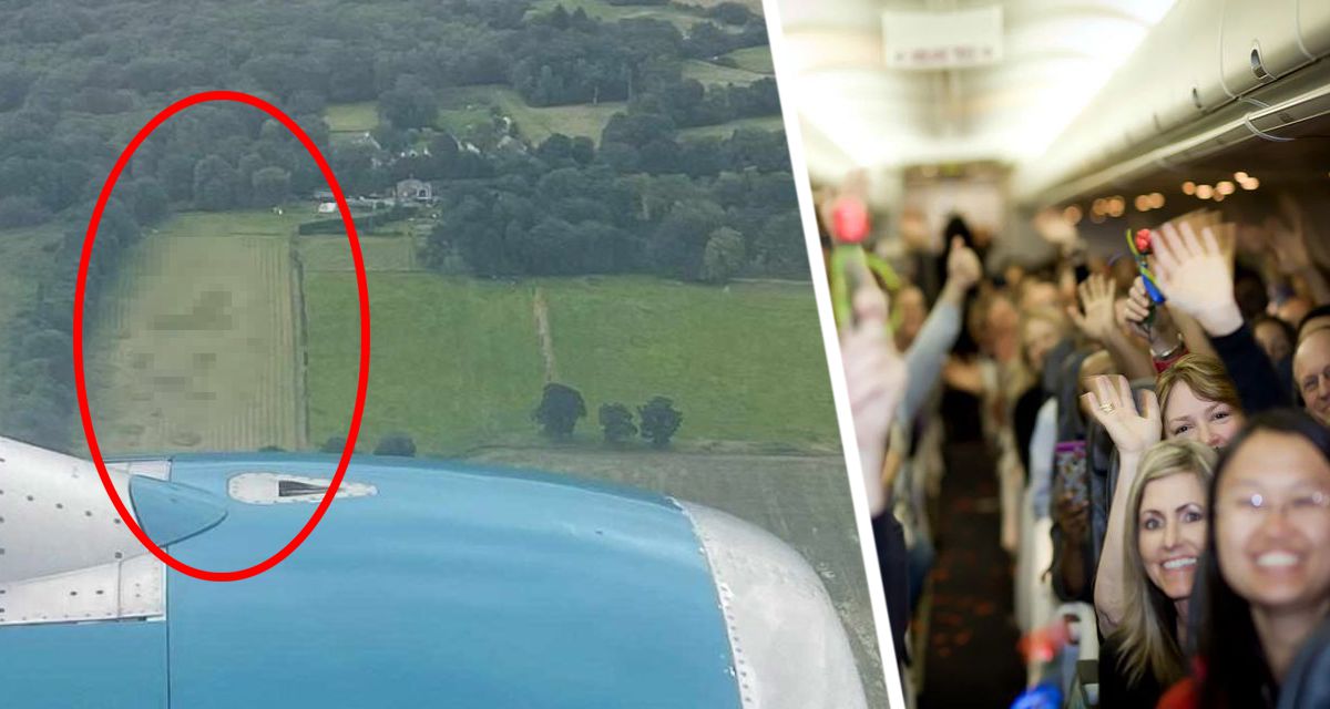 Туристам в самолете фермер показал пенис, вызвав взрыв хохота