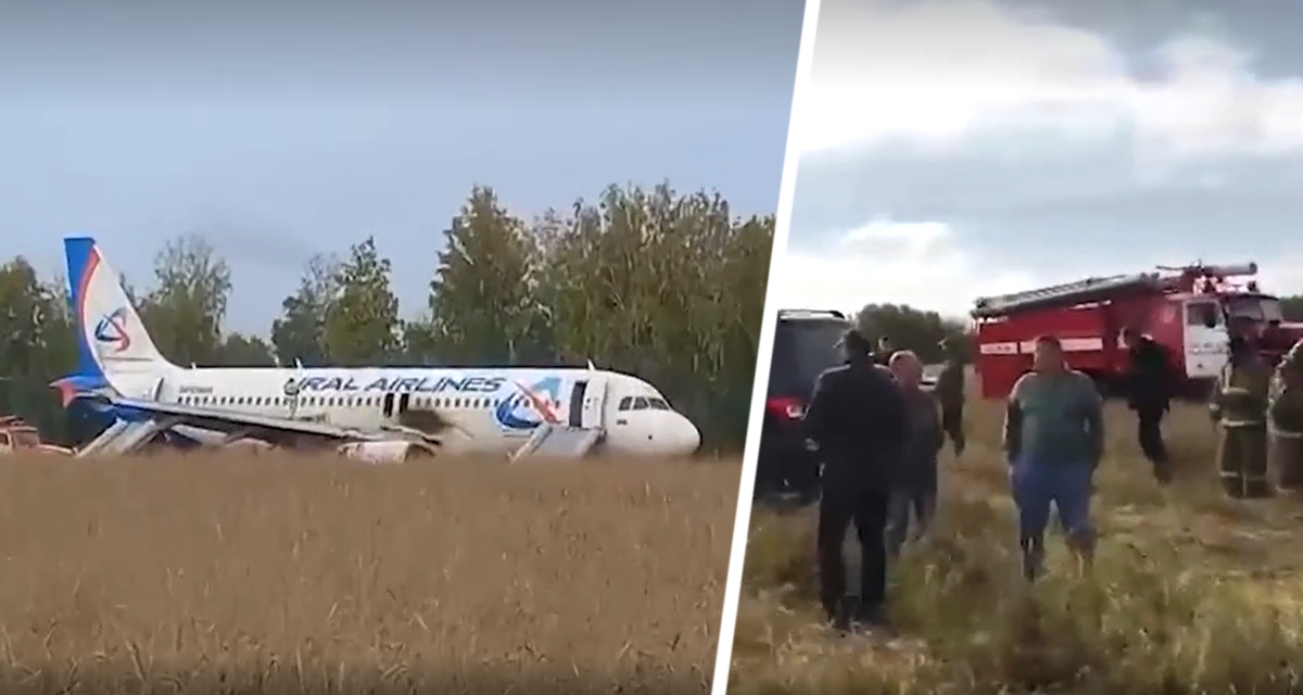 Самолёт с российскими туристами сел на пшеничное поле