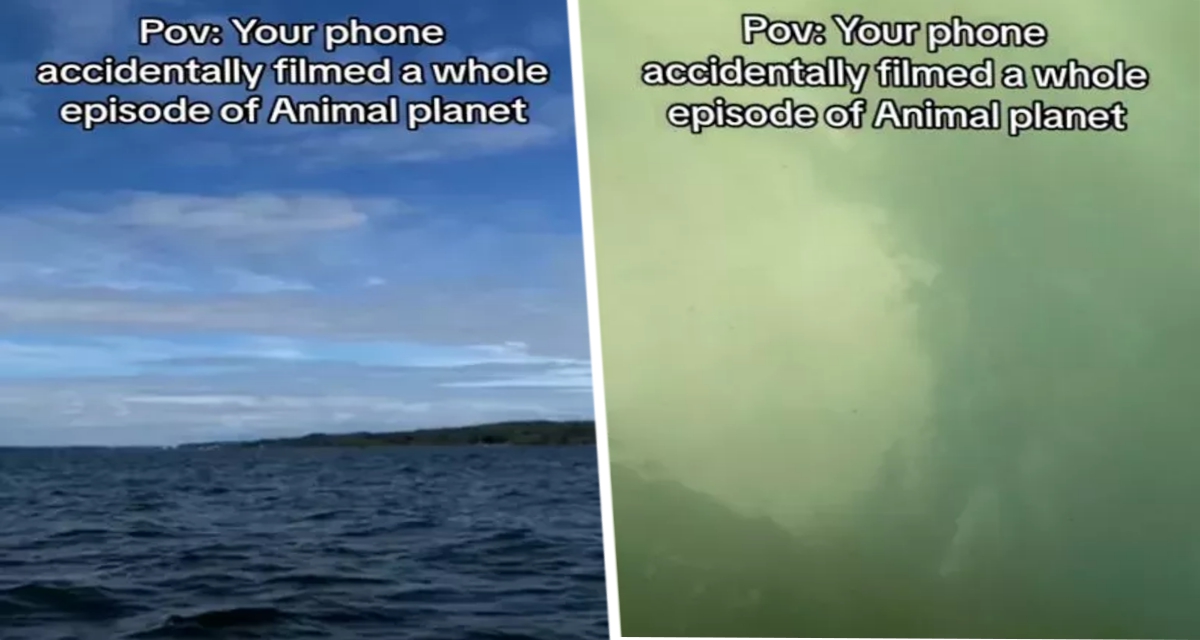 Турист, потерявший iPhone, обнаружил на нем шокирующие кадры, снятые под водой