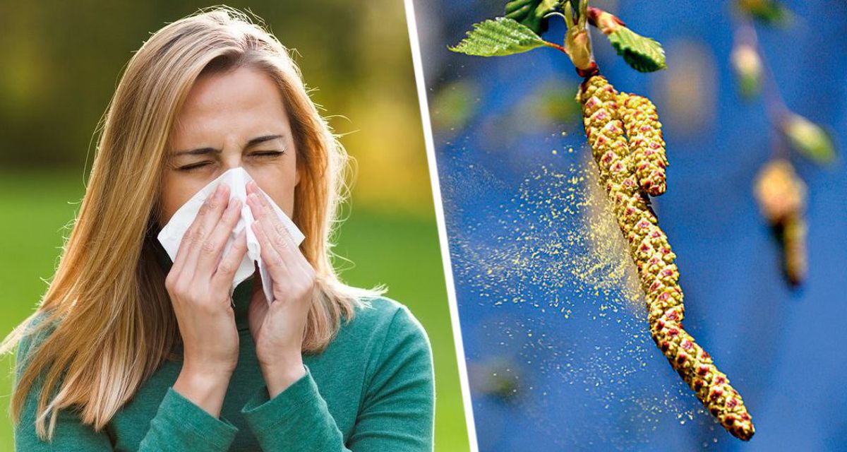 Где спастись от сезонной аллергии? Россиянам назвали направления и цены