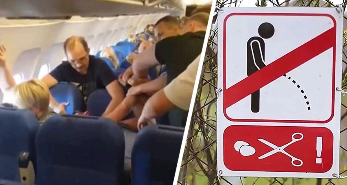 Пьяный турист помочился на сиденье в самолете и получил три месяца тюрьмы