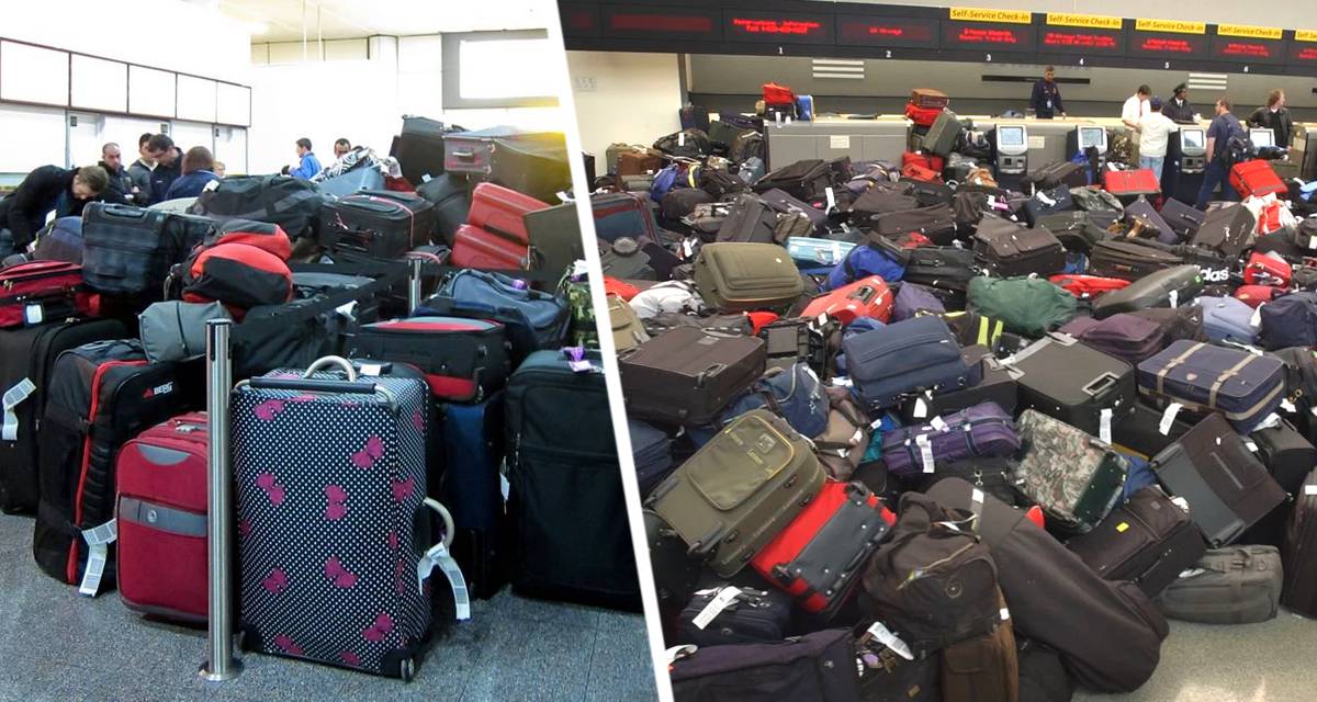 На сутки задержали, а теперь сидят на багажной ленте: отдых 200 россиян закончился потерей багажа