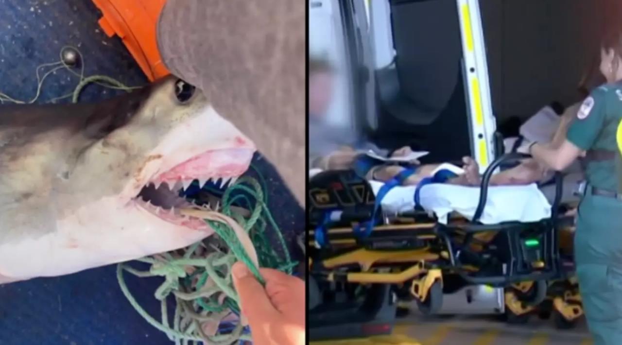 Из воды выскочила огромная зубастая пасть: мальчика укусила Большая белая акула после того, как он поймал ее во время рыбалки