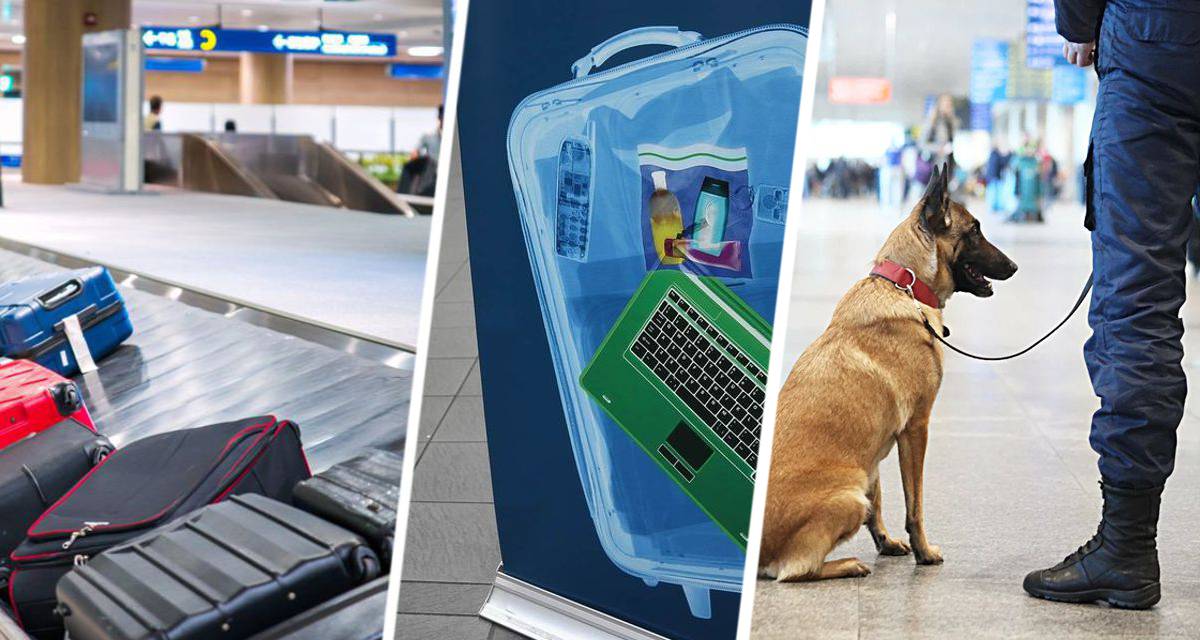 Ваш смартфон или ноутбук теперь могут забрать в аэропорту: туристов предупредили, как не утратить свои гаджеты
