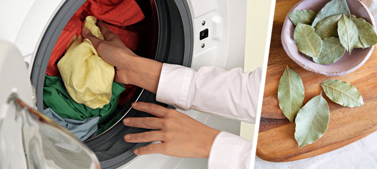 Зачем опытные хозяйки кладут лавровый лист в носок и опускают в стиральную машину: результат удивляет