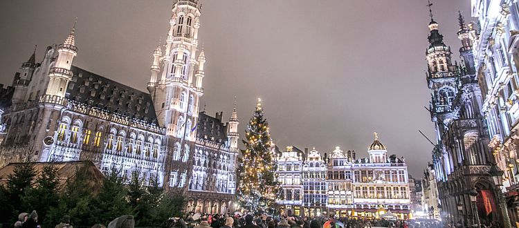 Новогодняя ёлка в Брюсселе