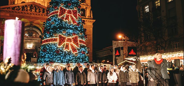 Рождественсая елка в Будапеште