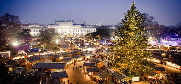 Рождественская елка в Вене